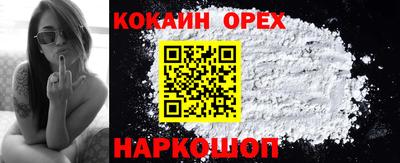 гидра Дубна