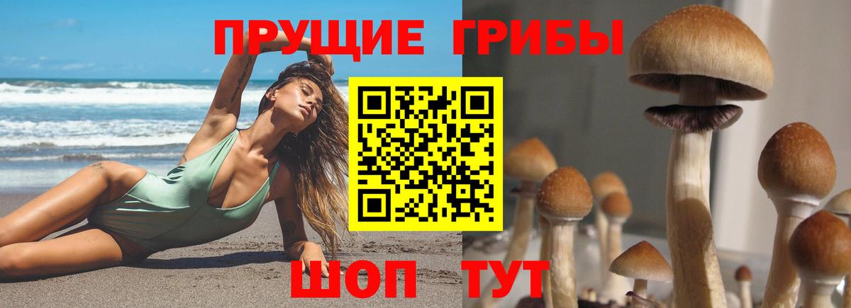 Мценск  Псилоцибиновые грибы мухоморы  Вход с VPN 